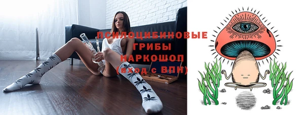 стаф Арсеньев