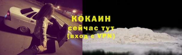 стаф Арсеньев