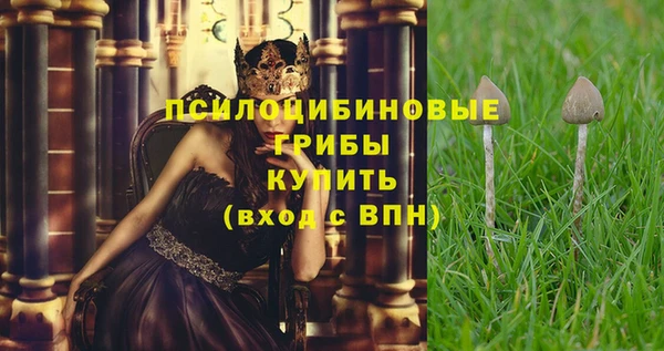 метадон Армянск