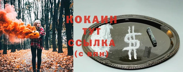 стаф Арсеньев