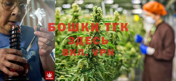PSILOCYBIN Аркадак