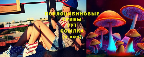 метадон Армянск