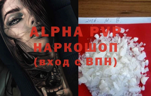 стаф Арсеньев