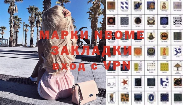 стаф Арсеньев