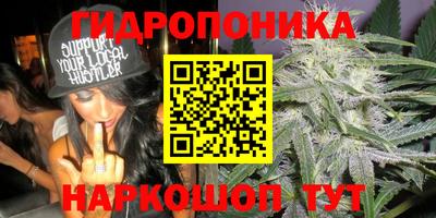 дмт Донецк