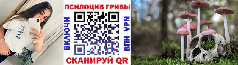 Псилоцибиновые грибы прущие грибы  гидра ссылка  Миасс  хочу наркоту 
