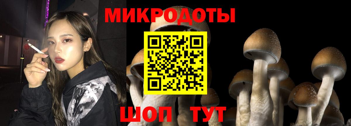 Миасс  Галлюциногенные грибы мицелий  Вход с VPN  Галлюциногенные грибы мицелий 